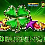 40 burning hot slot game